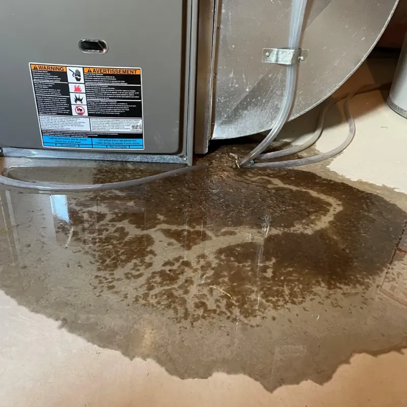 Appliance Leak Cleanup in Gooding County, ID