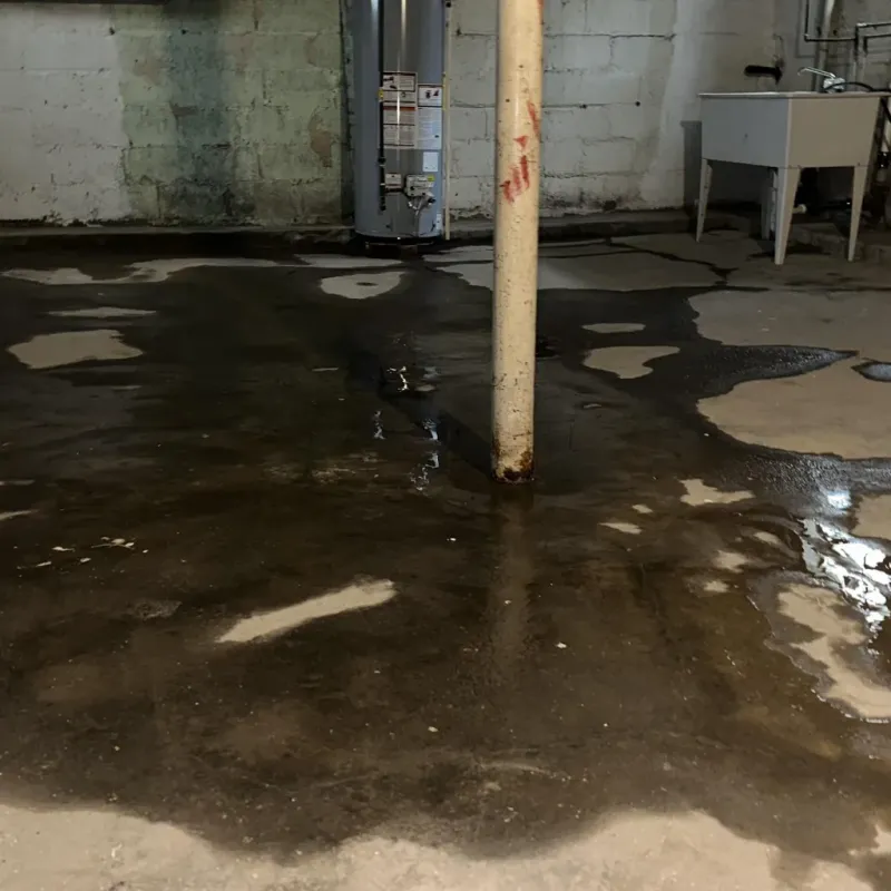 Emergency Water Extraction And Removal in Gooding County, ID
